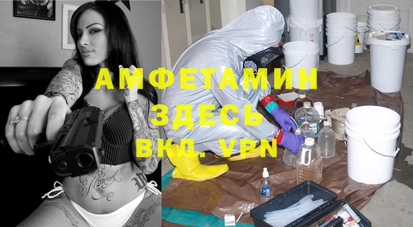 крисы Козловка