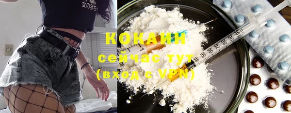 бошки Кодинск