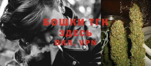 крисы Козловка